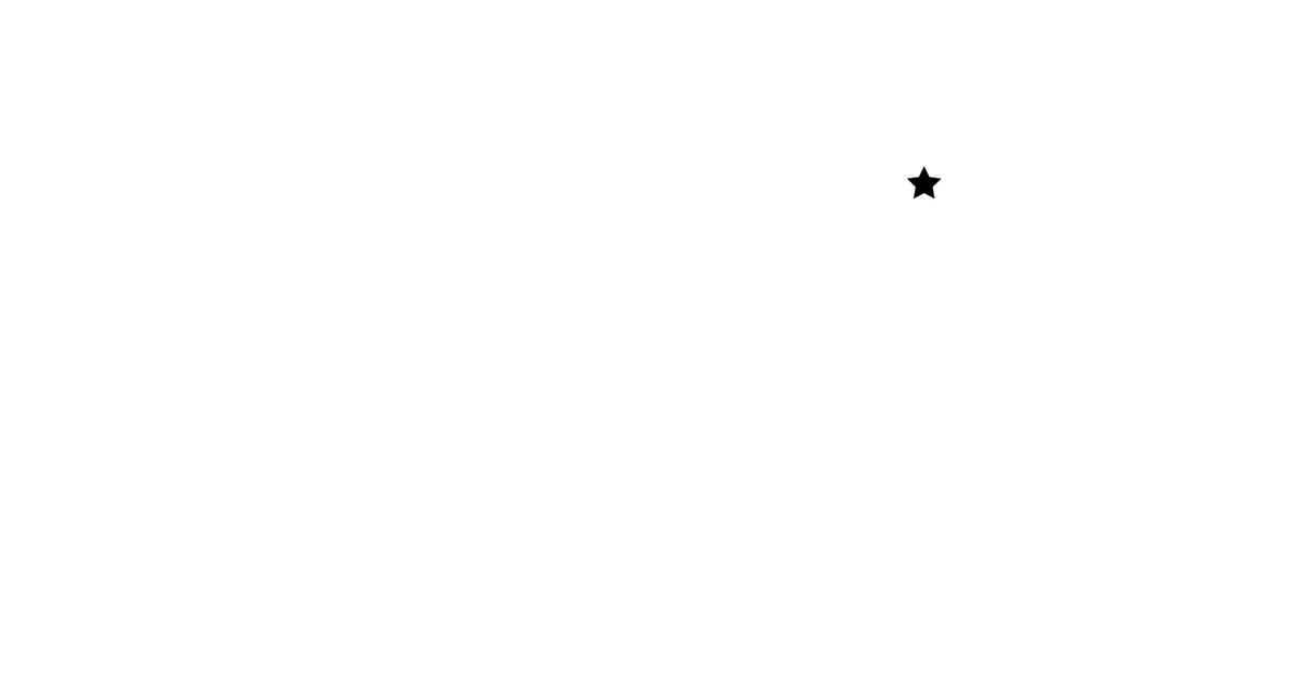 LEGENDARY BRANDING - Home