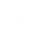 Legendary Branding
